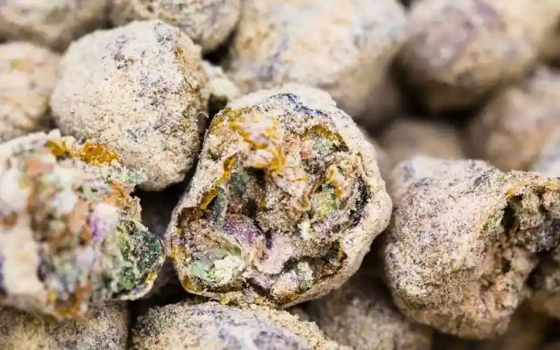 Image of Marijuana Moon Rocks from What Are Moon Rocks And How Are They Made? by High Times https://hightimes.com/guides/moon-rocks/
