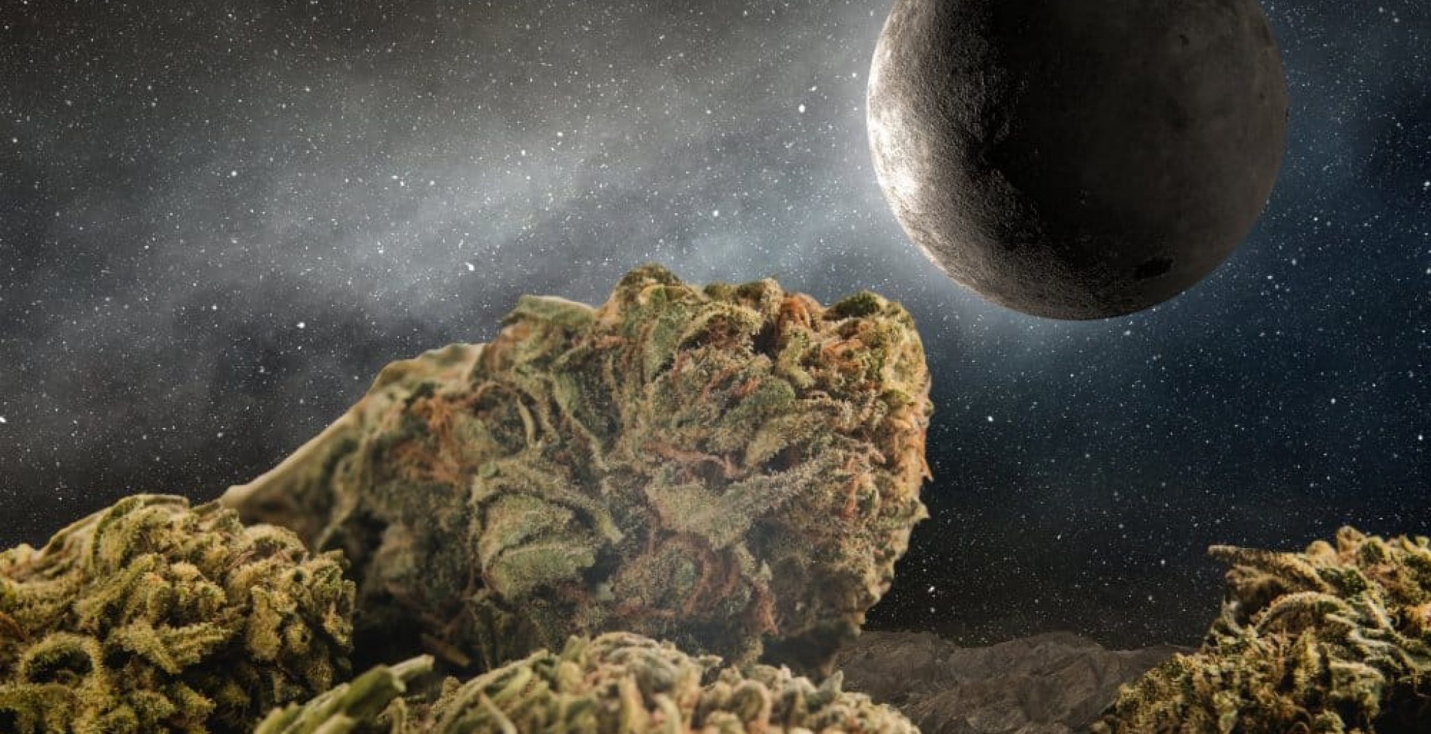 image of Marijuana buds on a lunar landscape